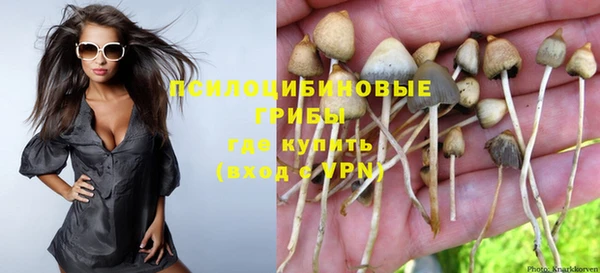 трава Верея