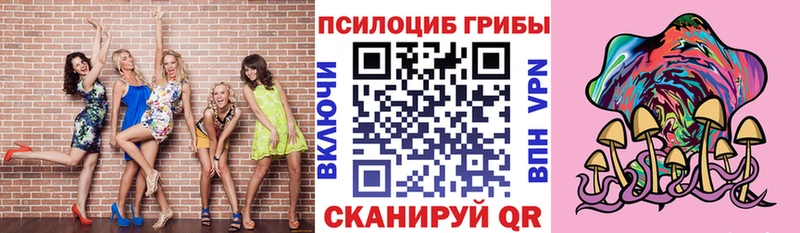 Галлюциногенные грибы прущие грибы  Брянск 